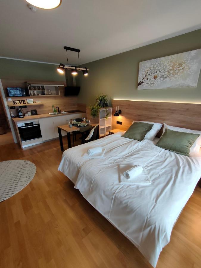 Bed & Breakfast Rezidenca Pipanova ลูบลิยานา ภายนอก รูปภาพ