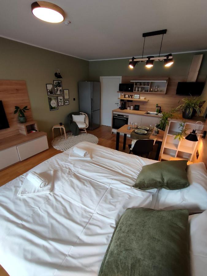 Bed & Breakfast Rezidenca Pipanova ลูบลิยานา ภายนอก รูปภาพ