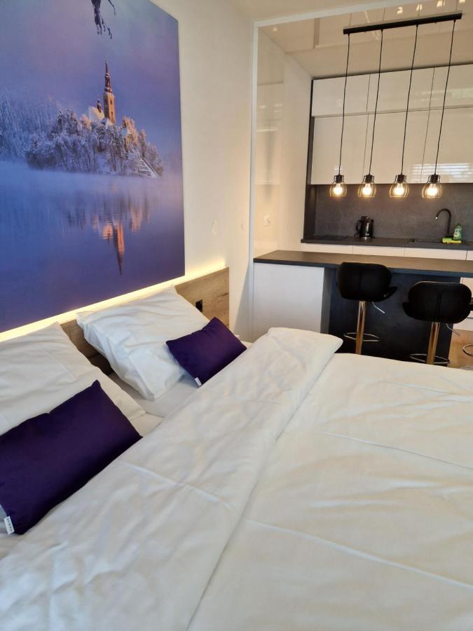 Bed & Breakfast Rezidenca Pipanova ลูบลิยานา ภายนอก รูปภาพ